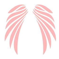 Productions La Cour Des Miracles Inc Pcdm (Les), Lachute, QC opening hours