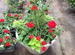 Walgraeve r & m Greenhouses & Garden Centre, Brantford, ON opening hours