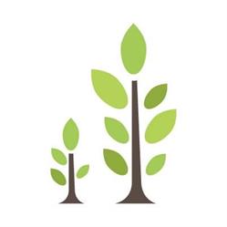 North Shore Forest Products Marketing Board, Bathurst, NB opening hours