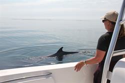 Island Quest Marine Whale Watching & Nature Cruises in St. Andrews, NB (Market Wharf) - Opening Hours