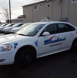 Bluebird Taxi, Stephenville, NL opening hours