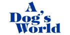 A Dog's World, Lethbridge, AB opening hours
