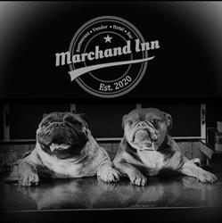 Marchand Inn, opening hours