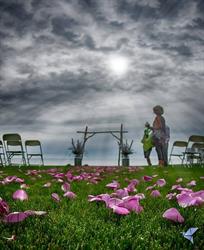 Flowers By Ann, Port Dover, ON opening hours