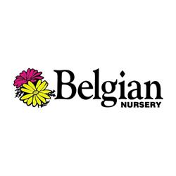 Belgian Nursery, Breslau, ON opening hours