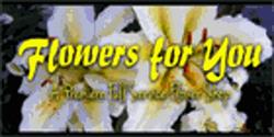 Flowers For You, Ponoka, AB opening hours