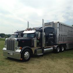 Thur Transport, Elmira, ON opening hours