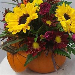 Flowers on Main, Minnedosa, MB opening hours
