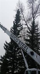 Rayco Steel Ltd, Sparwood, BC opening hours