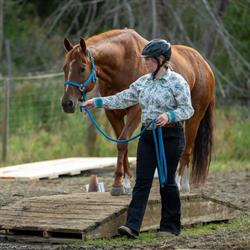 Tiger Lily Farm Equestrian Centre, Errington, BC opening hours