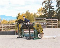 Windsor Stables, Aldergrove, BC opening hours