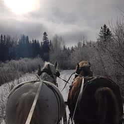 Wagonwheel Ranch, Val Therese, ON opening hours