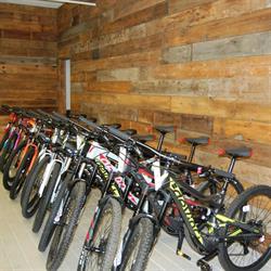 Cactus Bike & Ski in Calgary, AB (Haysboro) - Opening Hours
