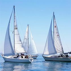 Whitby Yacht Club, opening hours
