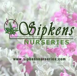 Sipkens Nurseries, Wyoming, ON opening hours