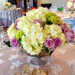 Casablanca Florist in North York, ON (Emery) - Opening Hours