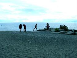 Beach Music Studio in Toronto, ON (The Beach) - Opening Hours