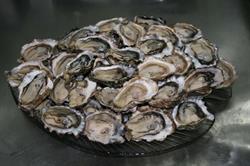 Timothy Oyster Co, Ladysmith, BC opening hours