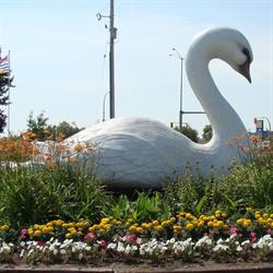 Swan River Town Of, opening hours