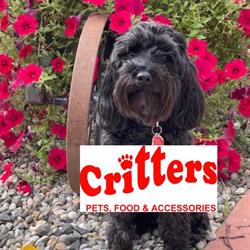 Critters & Supplies, Salmon Arm, BC opening hours
