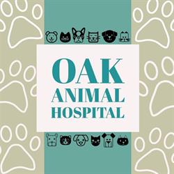 Oak Animal Hospital in Vancouver, BC (Fairview) - Opening Hours