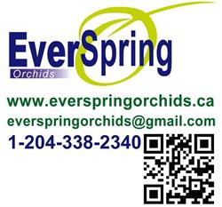 Ever Spring Orchids, West St. Paul, MB opening hours