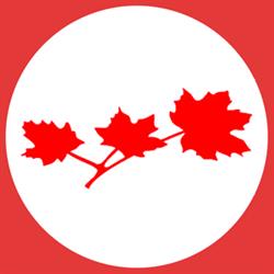 Mamann Sandaluk LLP, Toronto, ON opening hours