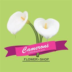 Camerons Flower Shop, Kitchener, ON opening hours