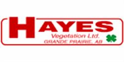 Hayes Vegetation Ltd, Grande Prairie, AB opening hours