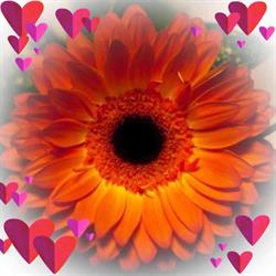 Flowers By Christina, Athabasca, AB opening hours