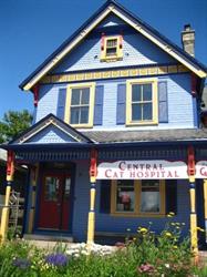 Central Cat Hospital in London, ON (East London) - Opening Hours
