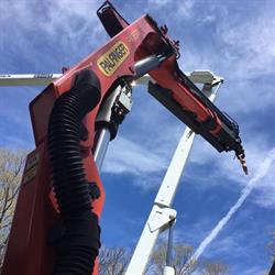Skratts Tree Service, Cobourg, ON opening hours