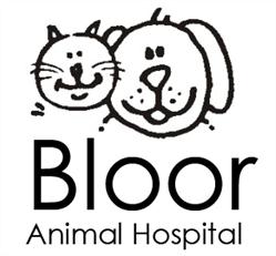 Bloor Animal Hospital in Toronto, ON (Bloor West Village) - Opening Hours