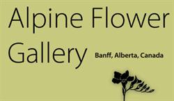 Alpine Flower & Gifts, Banff, AB opening hours