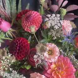 Oyster River Florist, Campbell River, BC opening hours