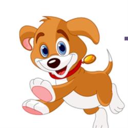 Willchris Kennels Ltd, Surrey, BC opening hours