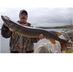 Pine Point Resort Ltd, Upsala, ON opening hours