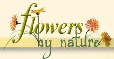 Flowers By Nature Incorporated in Toronto, ON (Dovercourt Park) - Opening Hours