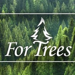 For Trees Company Ltd, Didsbury, AB opening hours