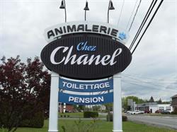 Animalerie Chez Chanel, Coaticook, QC opening hours
