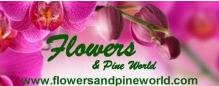 Flowers and Pine World, Barrie, ON opening hours