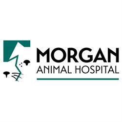 Morgan Animal Hospital, Niagara Falls, ON opening hours