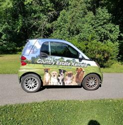 Country Estate Kennels, Stouffville, ON opening hours