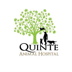 Quinte Animal Hospital, Trenton, ON opening hours