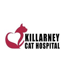 Killarney Cat Hospital in Calgary, AB (Killarney) - Opening Hours