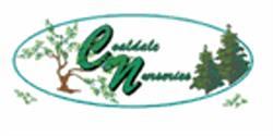 Coaldale Nurseries Ltd, opening hours