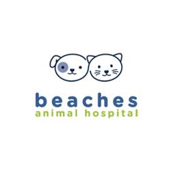 Beaches Animal Hospital, Toronto, ON opening hours