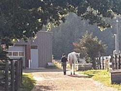 Whitemud Equine Centre in Edmonton, AB (Northeast Edmonton) - Opening Hours