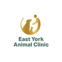 East York Animal Clinic, opening hours