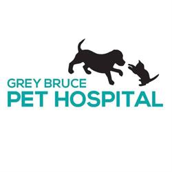 Grey Bruce Pet Hospital, Owen Sound, ON opening hours